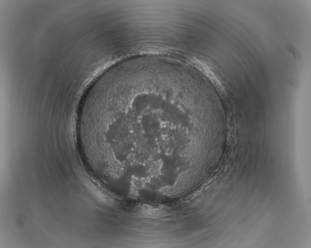 X0000112470346200908311354