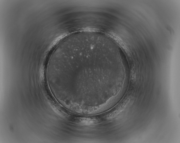 X0000112470347200908311354