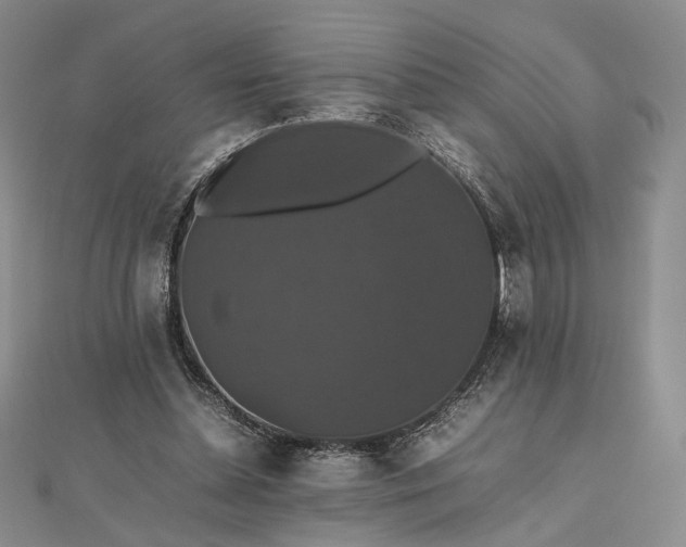 X0000112470348200908311354