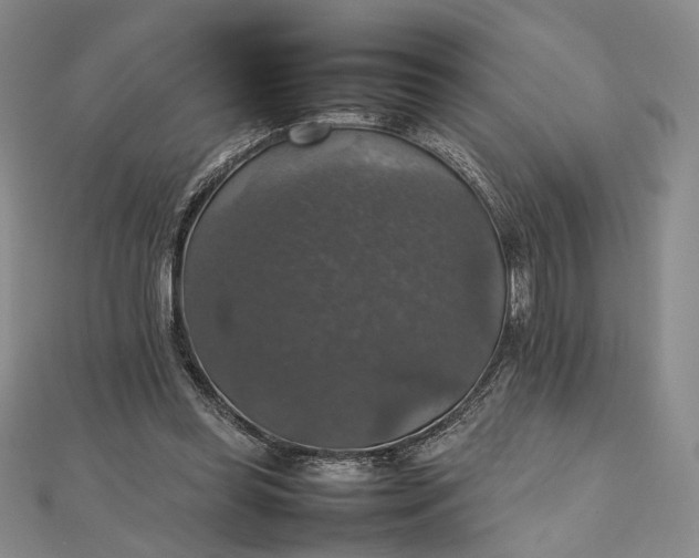 X0000112470349200908311354