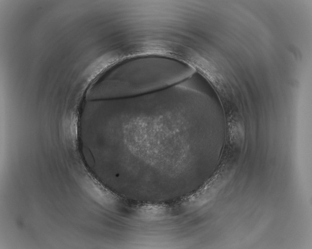 X0000112470350200908311354