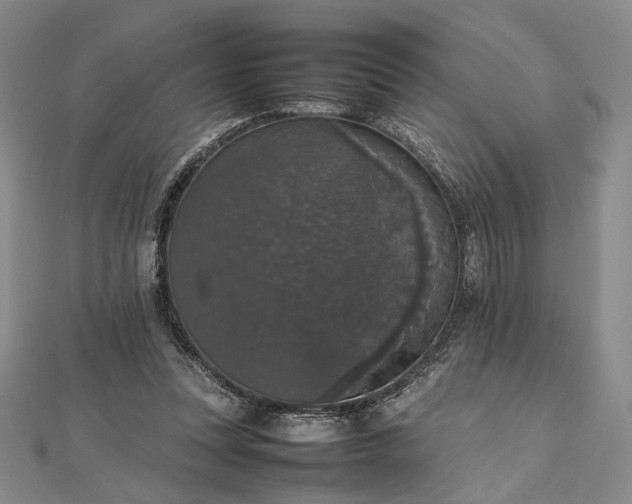 X0000112470351200908311354