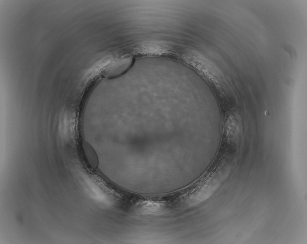 X0000112470352200908311354