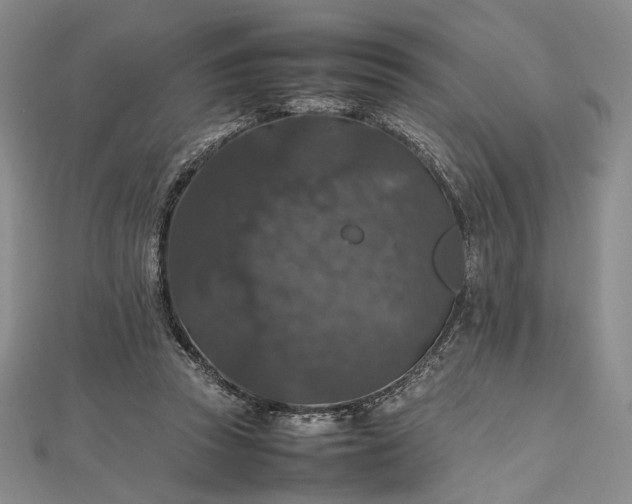 X0000112470353200908311354