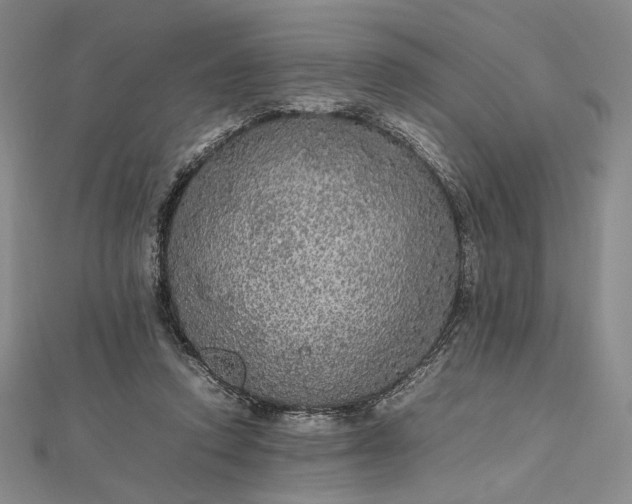 X0000112470354200908311354