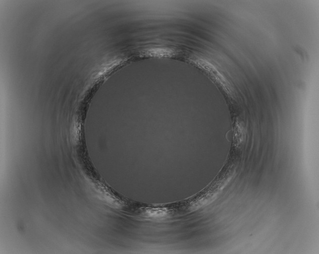 X0000112470355200908311354