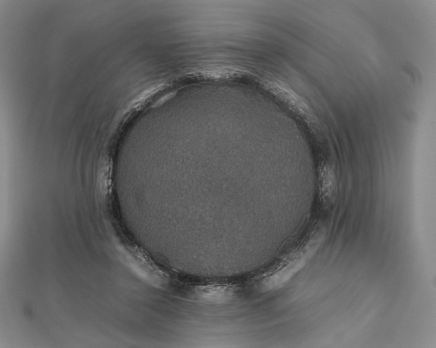 X0000112470356200908311354