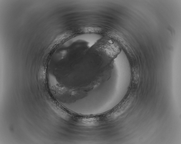 X0000112470357200908311354