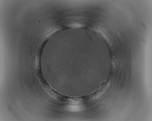 X0000112470359200908311354