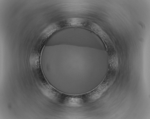 X0000112470360200908311354