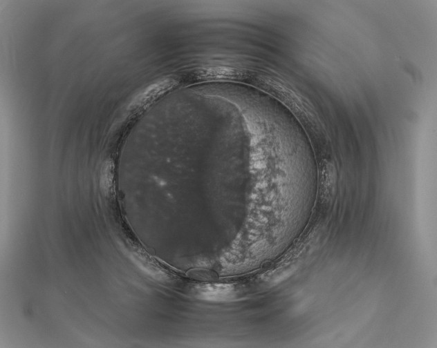 X0000112470361200908311354