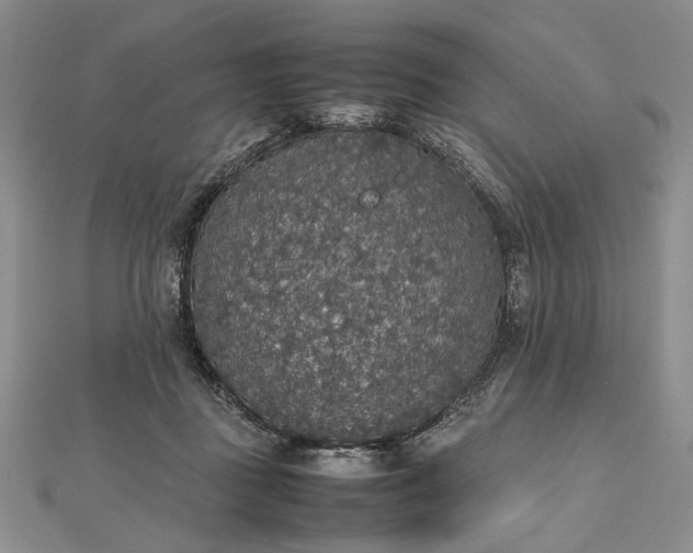 X0000112470363200908311354