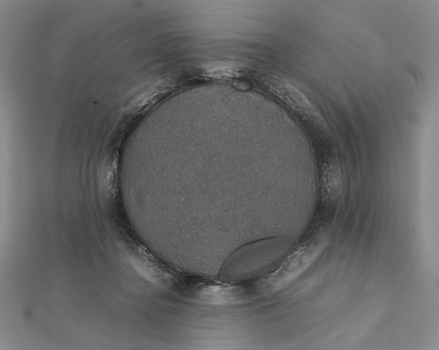 X0000112470364200908311354