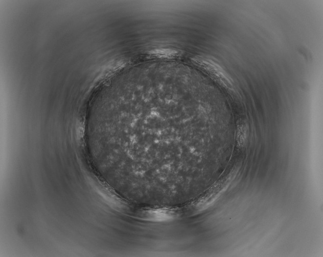 X0000112470365200908311354