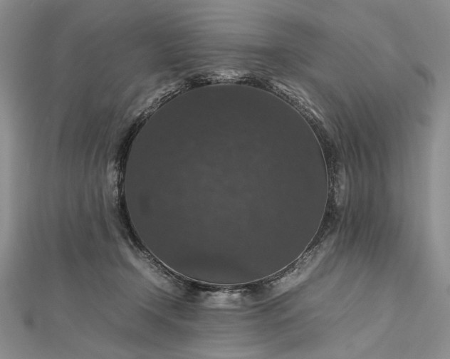 X0000112470366200908311354