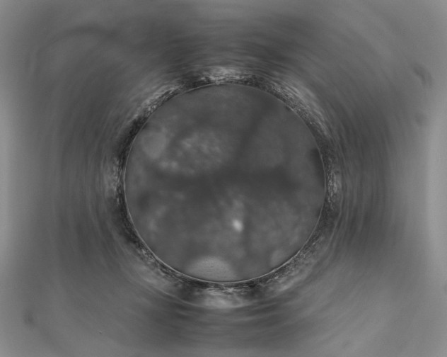 X0000112470367200908311354