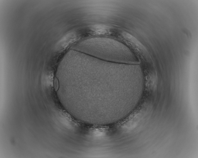 X0000112470368200908311354