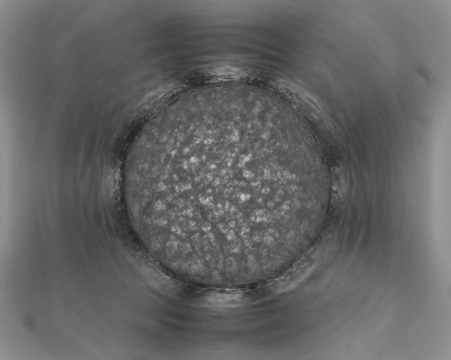 X0000112470369200908311354