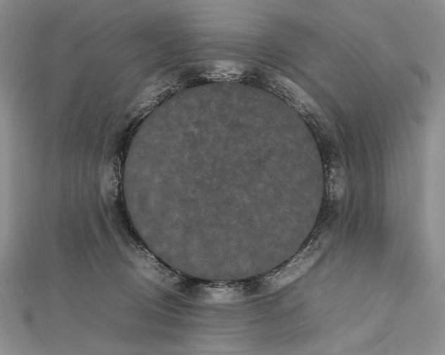 X0000112470370200908311354