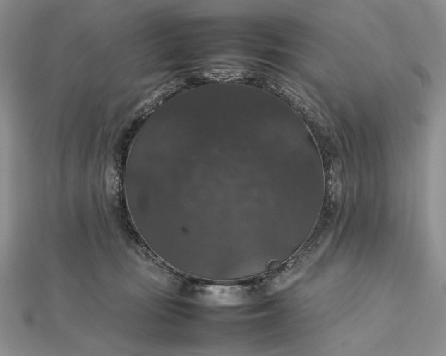 X0000112470371200908311354