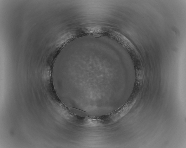 X0000112470372200908311354