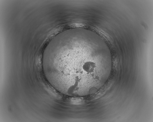 X0000112470373200908311354