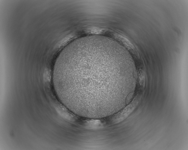 X0000112470374200908311354