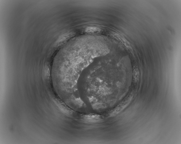 X0000112470375200908311355