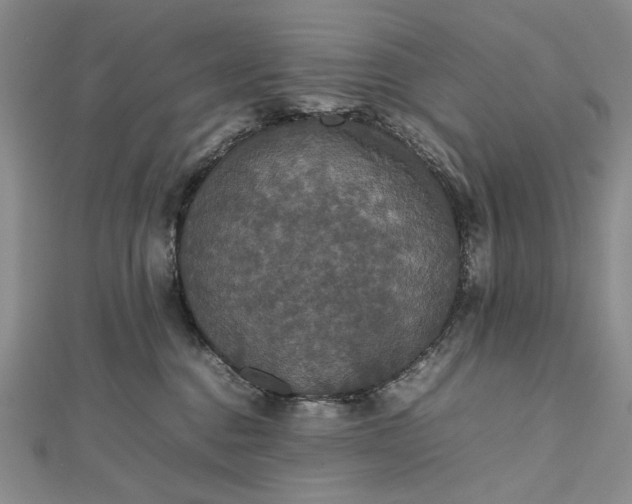 X0000112470376200908311355