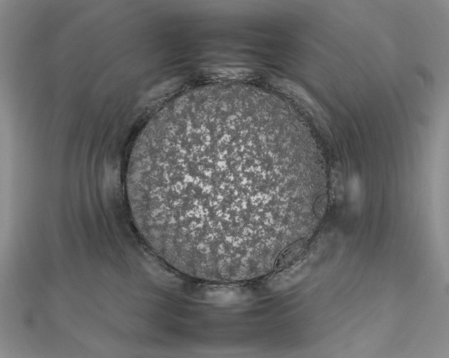 X0000112470377200908311355