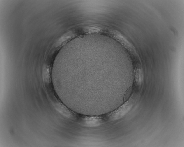 X0000112470378200908311355