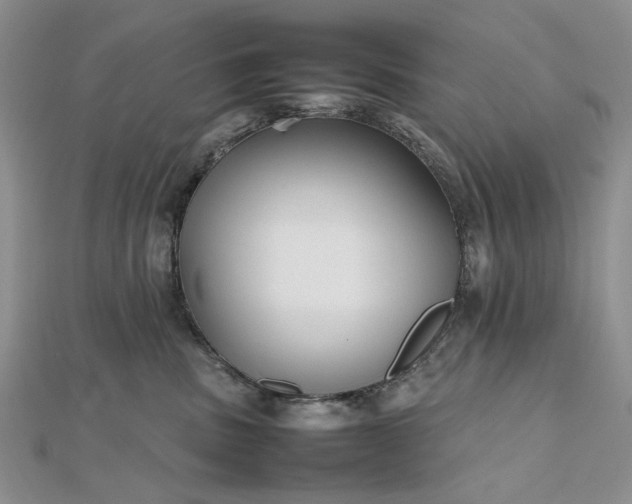 X0000112470379200908311355