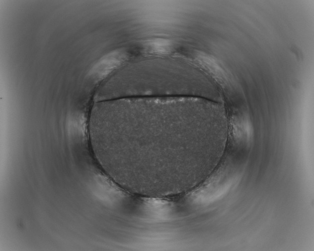 X0000112470380200908311355