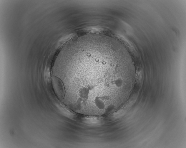 X0000112470381200908311355