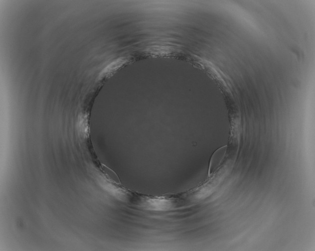 X0000112470383200908311355