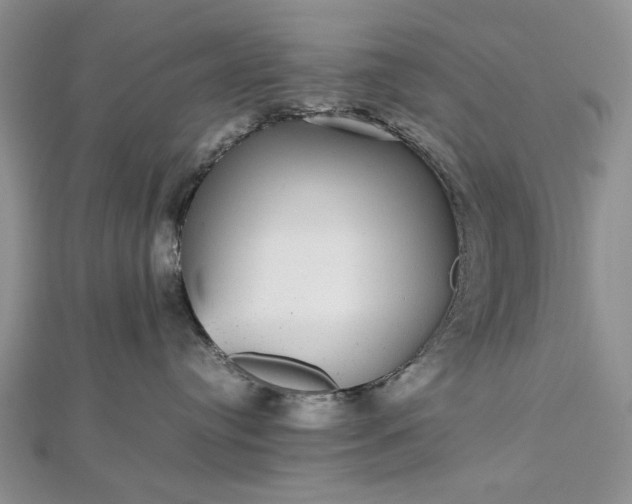 X0000112470384200908311355