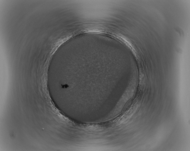 X0000112470385200908311354