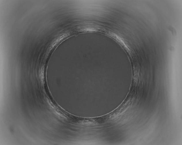 X0000112470386200908311354