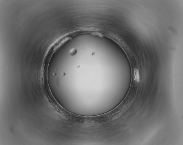 X0000112470388200908311354