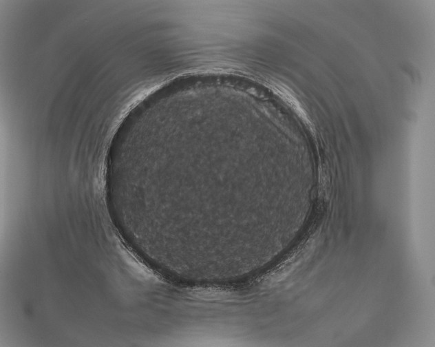 X0000112470389200908311354