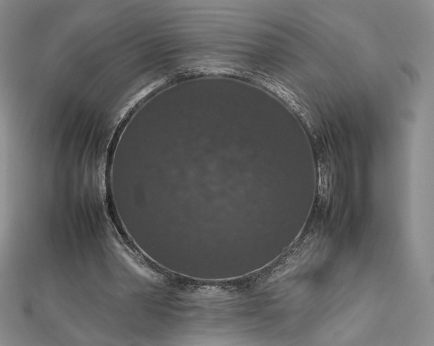 X0000112470390200908311354