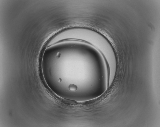 X0000112470391200908311354