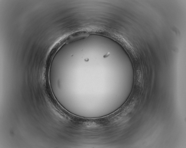 X0000112470392200908311354