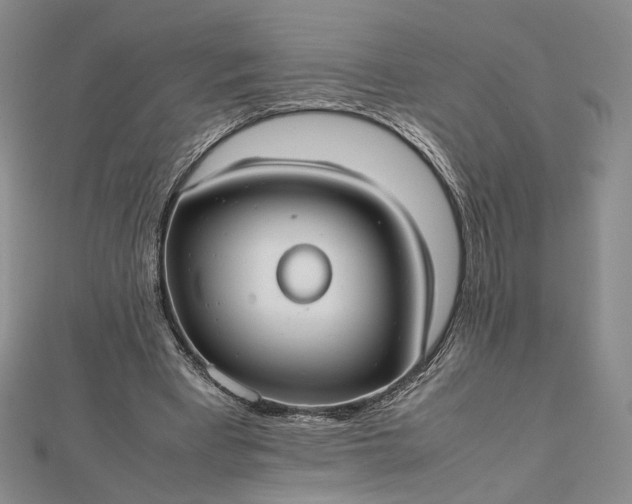 X0000112470393200908311354