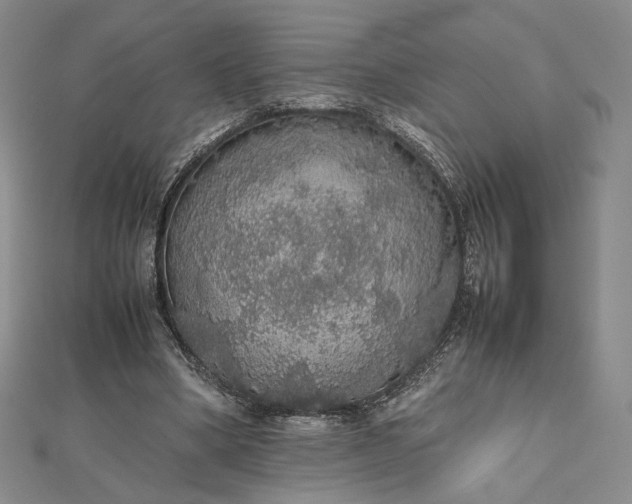 X0000112470394200908311354