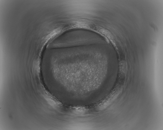 X0000112470395200908311354