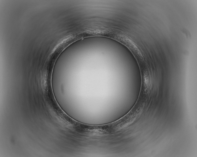 X0000112470396200908311354