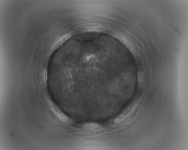 X0000112470397200908311354