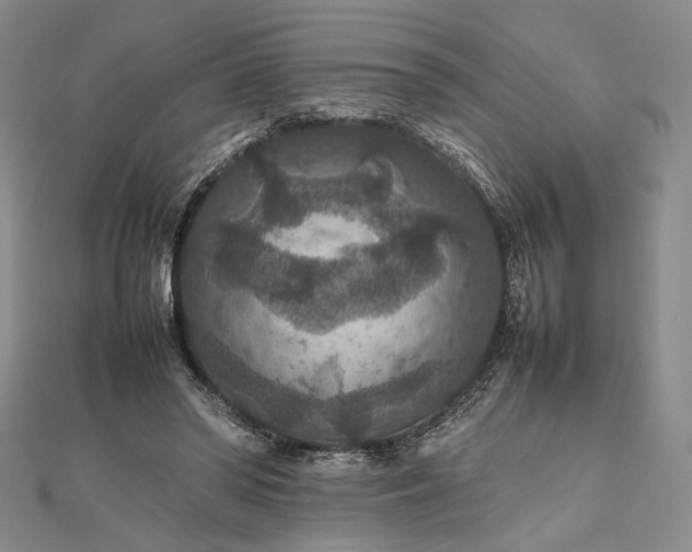 X0000112470398200908311354