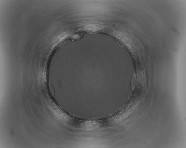 X0000112470399200908311354